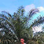 Fatu Tara - Facebook