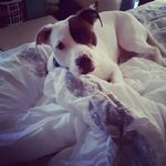 Tara Wakefield - @tara.wakefield.792 - Instagram