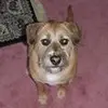 Tara Welsh688 - @user4066867918873 - TikTok