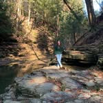 Tara Wenger - @tarawenger2768 - Instagram