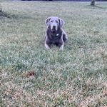 Tara Wittenberg - @tarawittenberg - Instagram