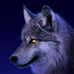 Tara Wolfe - Facebook