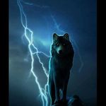Tara Wolfe - @tara.wolfe.5 - Instagram