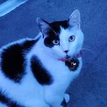 Tara Yount - @stingsr - Instagram