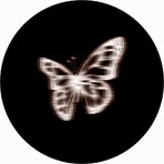 Tarah Williams - Facebook