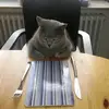 Taras - @taras_vovk - TikTok