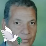 Tarek Awad - @tarekawad087 - Instagram