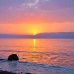 Tarek Gharib - @tarek.gharib.121 - Instagram