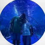 Tarek Gharib - @trkgharib - Instagram
