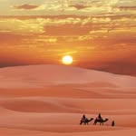 Tarek Gharib - @tarek.gharib.5074 - Instagram