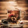 tarek gharib - @tarek.gharib6 - TikTok
