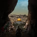 Tarek Mohammed - @_tarek_gharib_ - Instagram