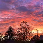 Maria Iskander - @tarek.iskander.169 - Instagram