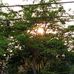 Tarikul Islam - Facebook