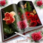 Tariq Arif - @tariqarif12 - Instagram