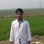 Tariq Arif - @tariq6274 - Instagram
