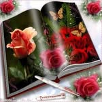 Tariq Arif - @tariqarif3231 - Instagram
