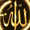 Tariq awan - @tariqawan457 - TikTok