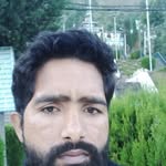Tariq Hussain - @tariqbarber819 - Instagram