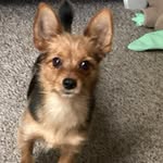 Tariq - @tariq_best26 - Instagram