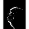 Tariq Bey - @tariq.bey7 - TikTok
