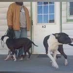 Tariq Cam - @tariq.cameron - Instagram