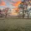 Tariq - @tariq.campbell - TikTok