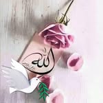 Suhaib Deen - @tariq.deen.98 - Instagram