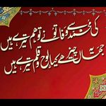 Haidar Ali - @tariq.farooqi.313 - Instagram