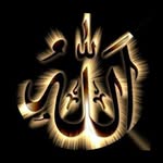 Tariq Farooqi - @muratkaya8337 - Instagram