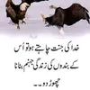 Tariq Ghumman588 - @tariqghumman588 - TikTok