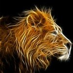 Hamid Tariq - @tariq.hamid - Instagram