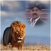 Tariq Hamid - Facebook