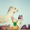 tariq hamid bidawi - @tariq.hamid.bidawi - TikTok