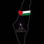 Tariq Ibrahim - @tariq___ibrahim - Instagram