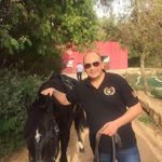 Tariq Ismail Abul Afiya - @tariqafiya - Instagram