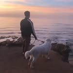 Tariq Jaber - @tariq.jaber.9 - Instagram