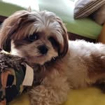 Tariq Jaber - @tariq.jaber.756 - Instagram