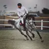 Tariqiii - @tariqjaberi - TikTok