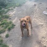 Tariq Jones - @tariq.jones21 - Instagram