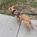 Tariq Jones - Facebook