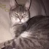 tariqkadri7 - @kit.kat010 - TikTok