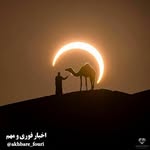tariq - @tariq_kahn_b - Instagram