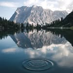 tariq.khalid - @tariq.khalid5 - Instagram