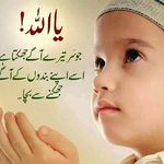 Tariq Majeed - @tariq.majeed - Instagram
