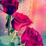Tariq mannan ansari - @ansaritariqmannan - Instagram