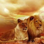 Tariq Mansour - @tariq.makyeh - Instagram