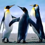 May Tariq - @tariqmay - Instagram