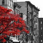 Tariq Moore - @tariq.moore.71 - Instagram