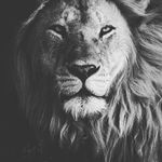 Tariq Moore - @tariq_the_hype - Instagram